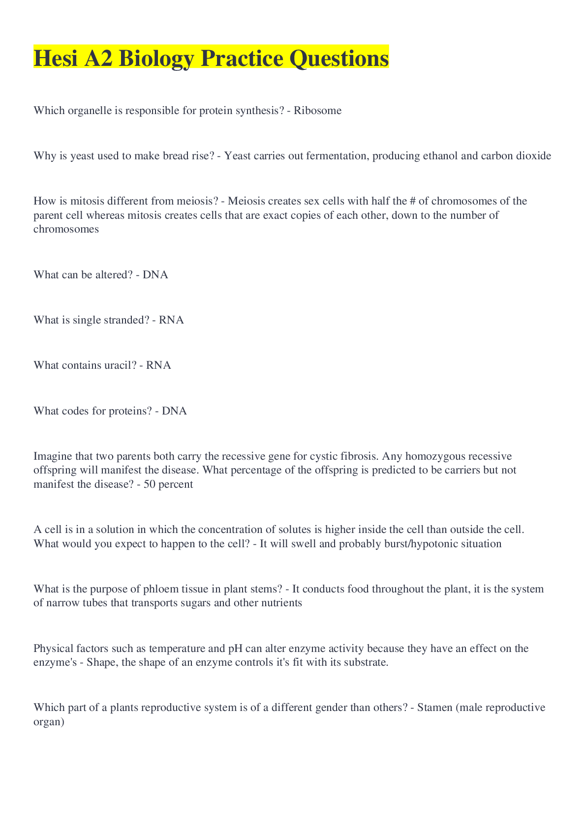 document-preview